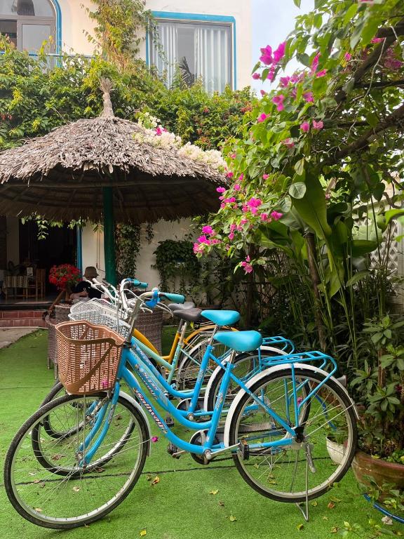 Jardí fora de Hoi An Paddy House Homestay