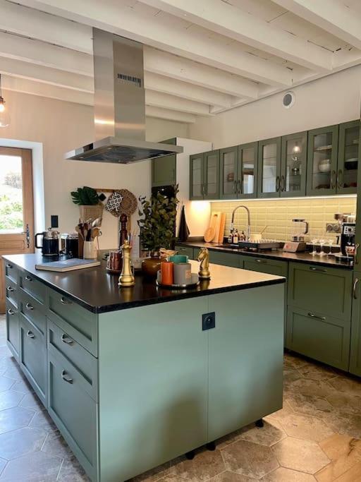 une grande cuisine avec des placards verts et un comptoir dans l'établissement La Maison de la Pépée by Longo Mai - Maison 6/8 personnes, à Groslée