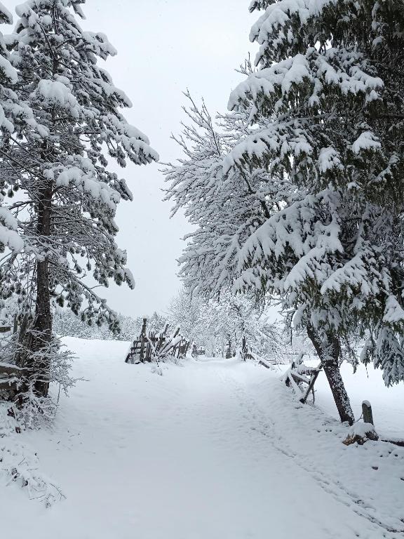 Vikendica "Tošić" v zimě