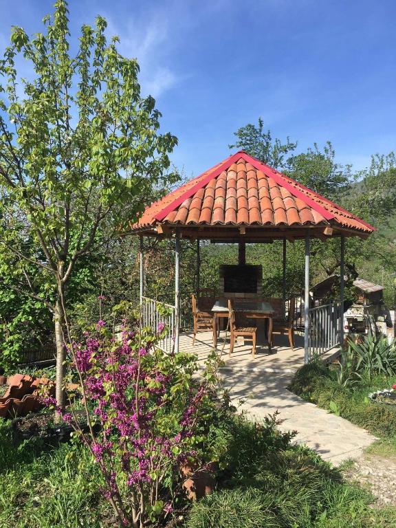 Zahrada ubytování Guesthouse _ DAVITI
