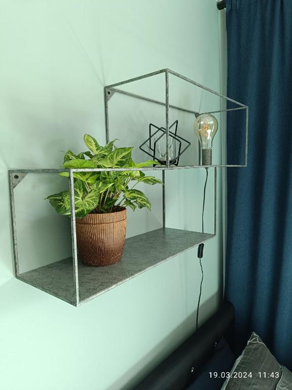 Apartament Magnolia - 6