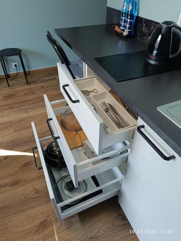 Apartament Magnolia - 9