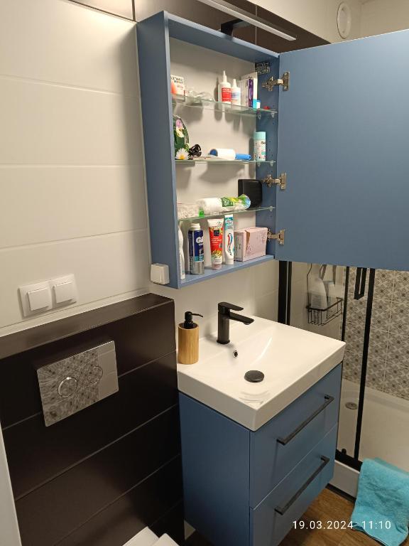 Apartament Magnolia - 18