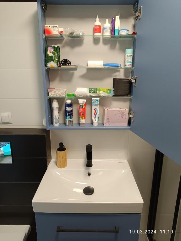 Apartament Magnolia - 19