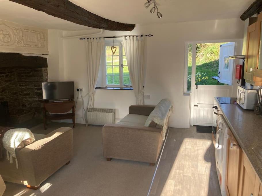 a living room with two couches and a tv at Courtyard Cottage - Grade II listed - Barnstaple in Barnstaple