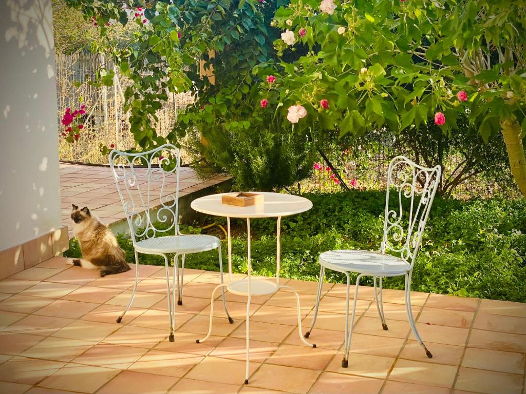 羅戈·格蘭德的住宿－卡薩萊勞勒斯住宿加早餐旅館，坐在桌子和两把椅子旁边的一只猫