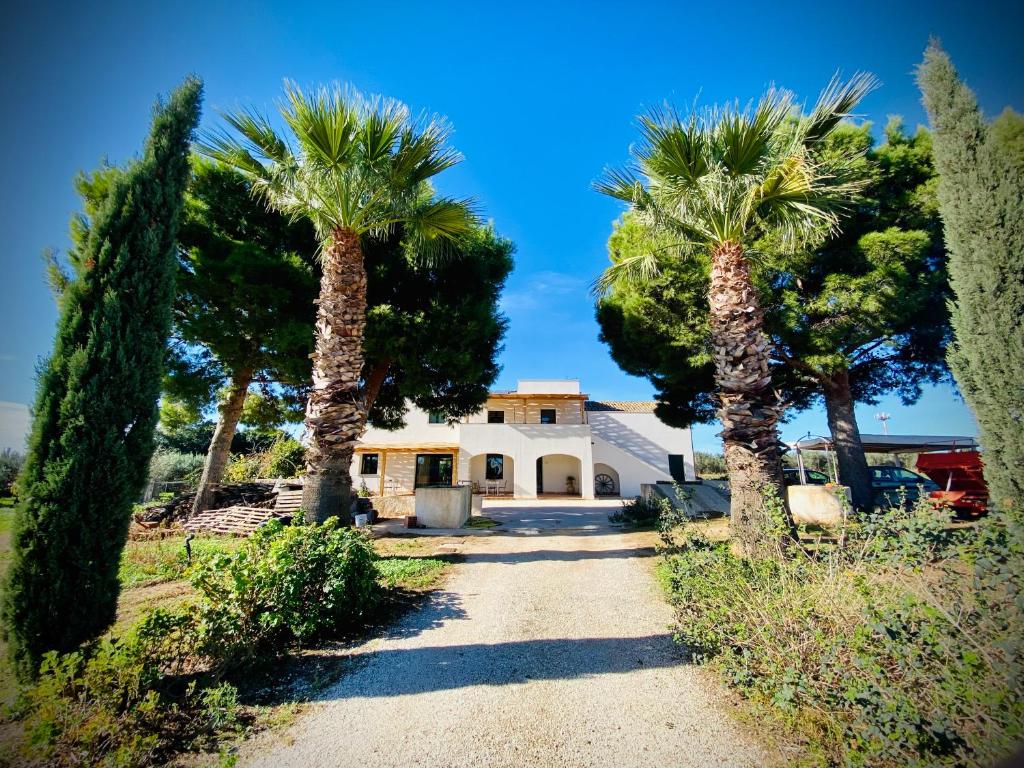 a house with palm trees in front of a driveway at Casale Laurus in Locogrande