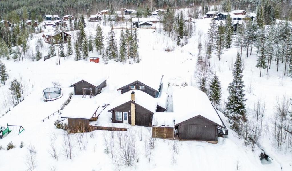A wonderful estate of two houses for all seasons! зимой