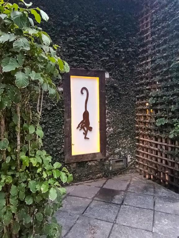 Fotografie z fotogalerie ubytování Monkey Casa Hotel v destinaci Trancoso
