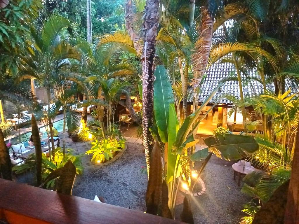 Zahrada ubytování Monkey Casa Hotel