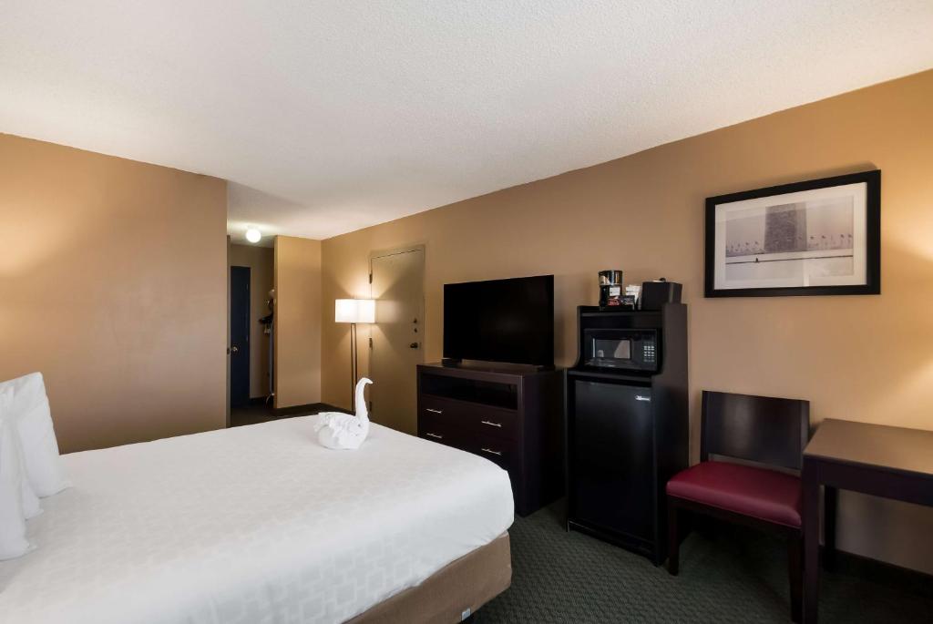 Best Western Springfield photo