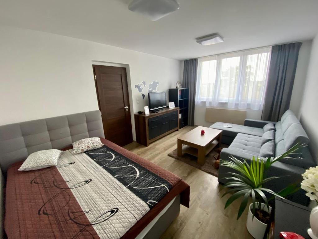 ein Wohnzimmer mit einem Bett und einem Sofa in der Unterkunft Luxusní Apartmá CHKO Třeboňsko in Veselí nad Lužnicí