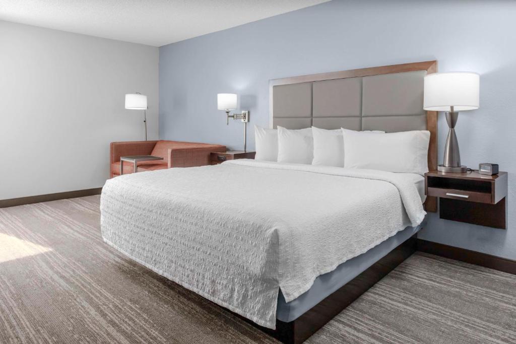 Hampton Inn Sarasota I-75 Bee Ridge - キングルーム 聴覚アクセス/禁煙