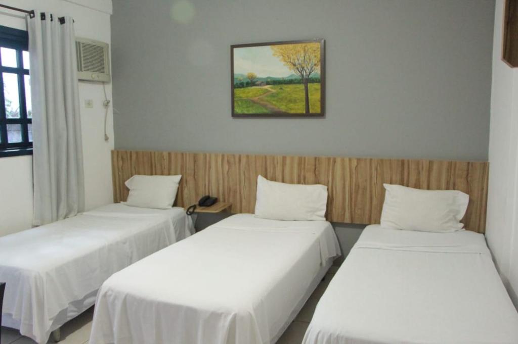 戈亞尼亞的住宿－Hotel Serras De Goyaz Bueno, Goiânia，一间设有两张床的客房,墙上挂着一张照片