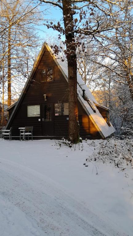 una baita con un albero nella neve di De Lodge a Durbuy