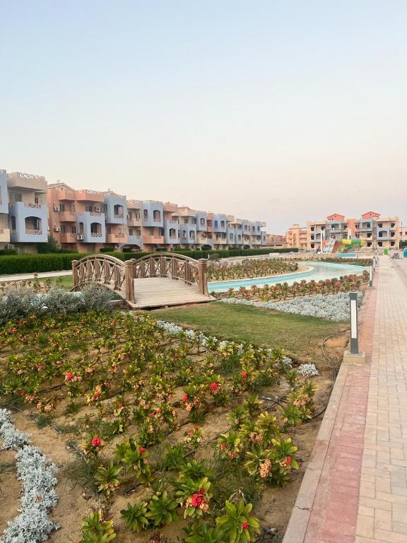 Zahrada ubytování Nozha Beach - Ras Sudr