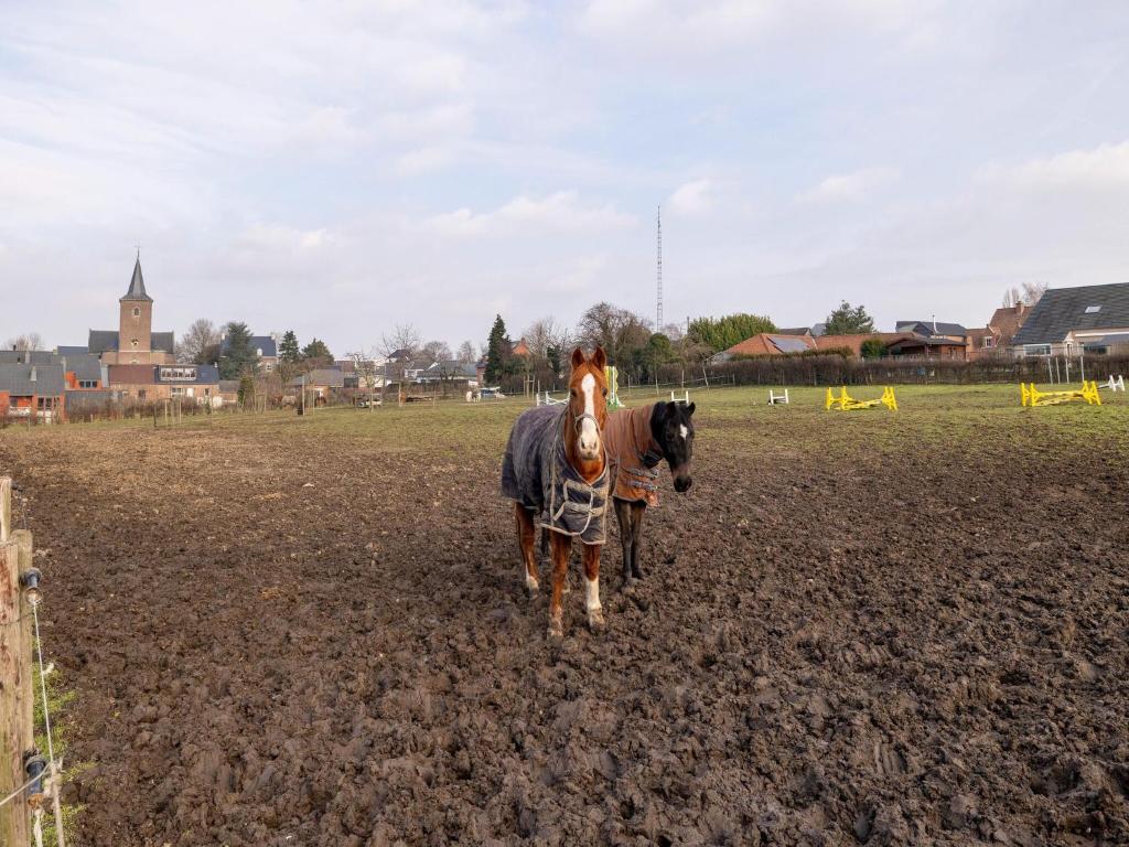 Hosté ubytování Farmhouse in Limburg with Riding School