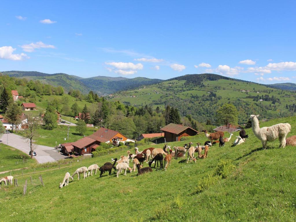 d'un troupeau d'animaux herbivores dans l'établissement Chalet familial à La Bresse, proche randonnées, WIFI, animaux admis - FR-1-589-425, à La Bresse