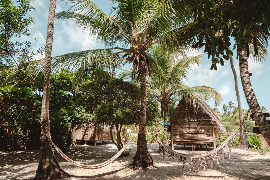 卡馬薩里的住宿－Suíte beija-flor，海滩上两棵棕榈树之间的吊床