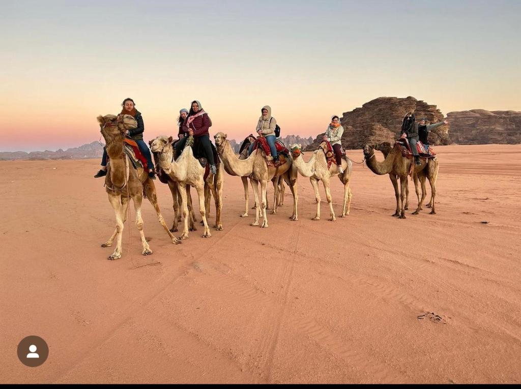 Eine Gruppe von Menschen reitet Kamele in der Wüste in der Unterkunft WADl RUM DESERT CAMP in Wadi Rum