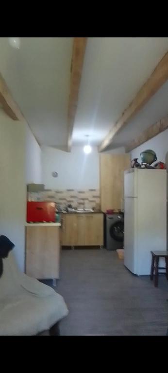 Habitación grande con cocina con nevera. en Borjomi, en Borjomi