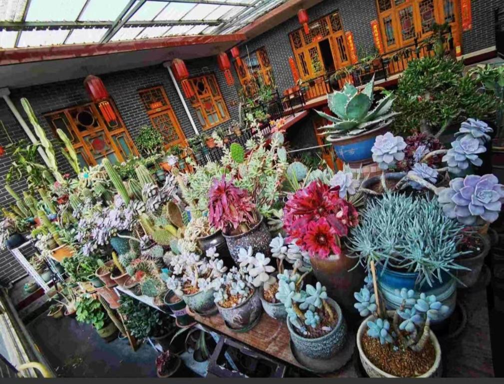 Zahrada ubytování Pingyao Jiaxin Guesthouse