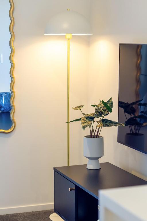 Explore from 8 Wilmer: Upper Level Cozy Studio - Resim 15