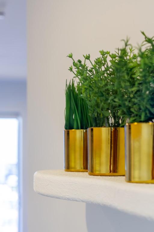 Explore from 8 Wilmer: Upper Level Cozy Studio - Resim 27