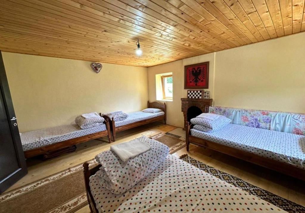 una sala de estar con sofás y techo de madera. en Hostel Flori en Valbonë