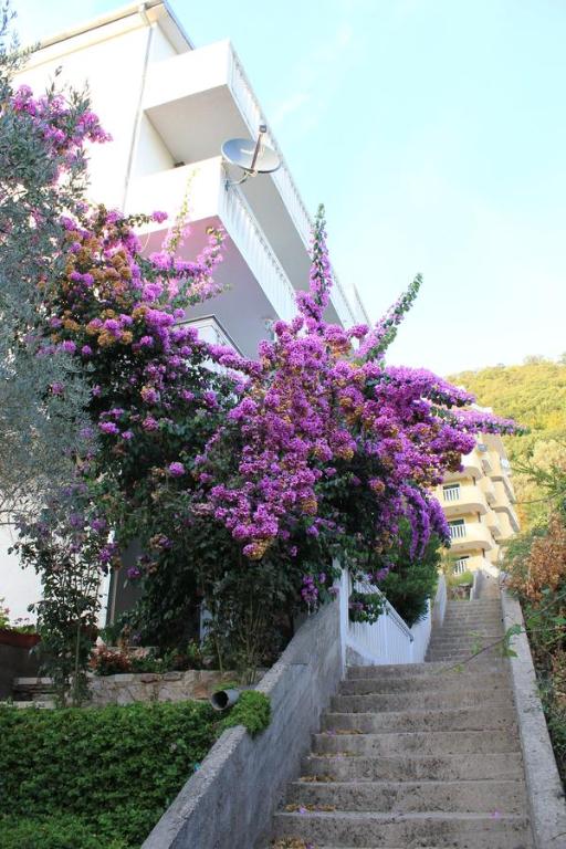 un edificio con flores púrpuras en las escaleras en 4M Apartments, en Petrovac na Moru