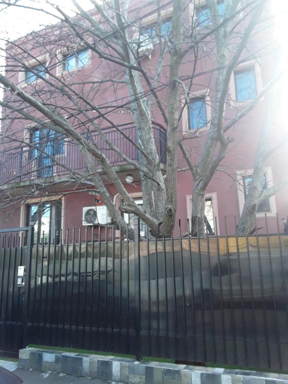 a pink house with a fence and a tree at Aura's in Bucharest