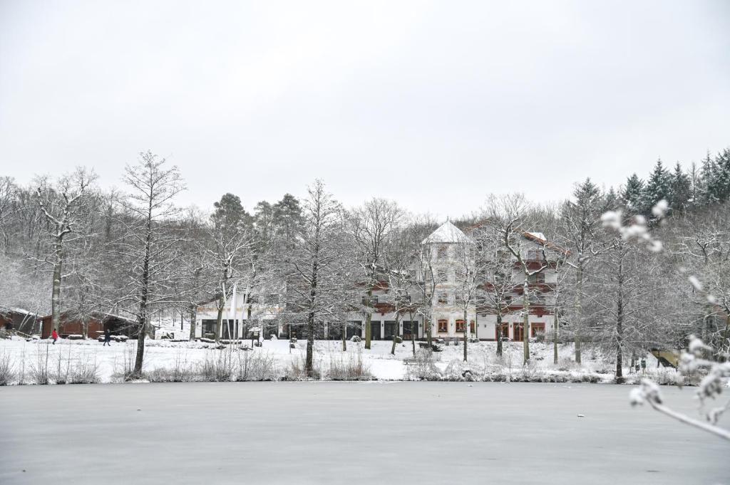 Hotel-Restaurant Kreuzberghof Tagungs- und Veranstaltungshotel v zimě