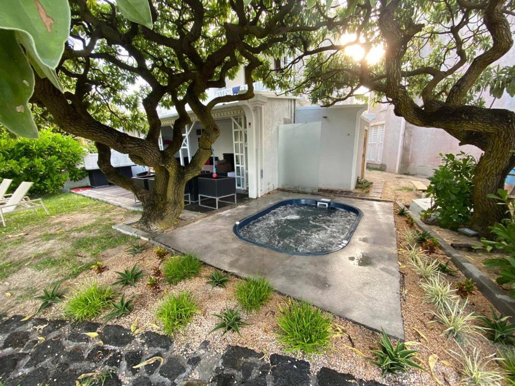 a backyard with a tree and a swimming pool at Villa No2 - Sun Tan Palmar in Belle Mare