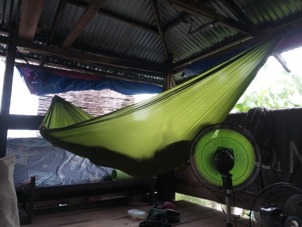 a green hammock in a room with a fan at sharkbunkbed siargao in General Luna