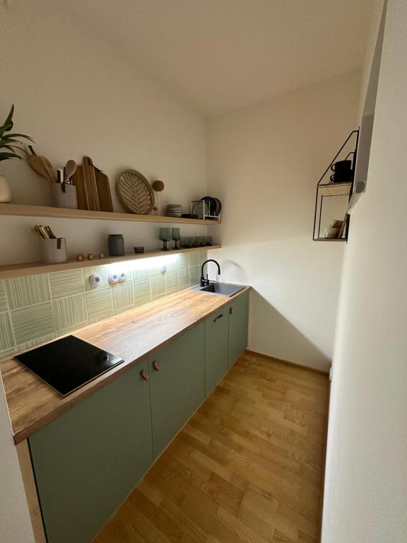 Kuchyň nebo kuchyňský kout v ubytování Apartmán U Venuše