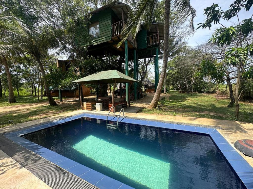a swimming pool in front of a tree house at Yala Eco Tree House in Tissamaharama