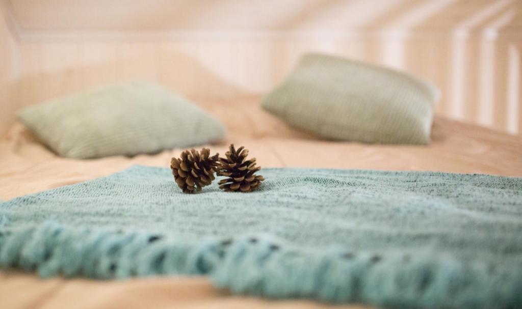 zwei Tannenzapfen auf einer blauen Decke auf einem Bett in der Unterkunft Le petit chalet jurassien in Jouhe