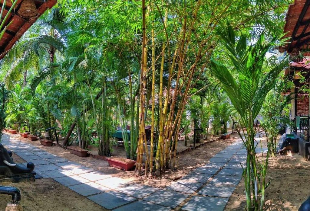 a row of palm trees are lining a walkway at Patnem Palm Garden in Palolem