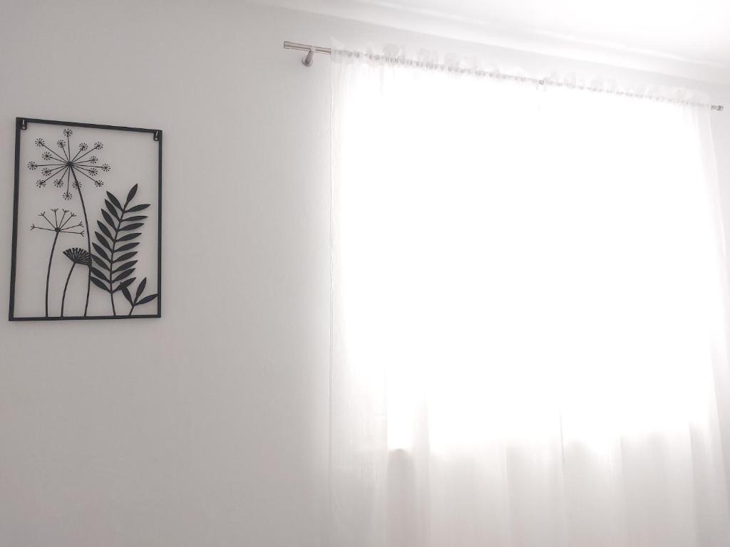 Fotografia z galérie ubytovania Apartment "None" Makarska v destinácii Makarska