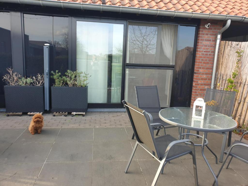Balkón nebo terasa v ubytování Het Zonnetje -Vakantiewoning en Bed and Breakfast