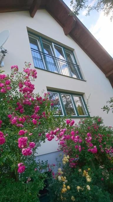 Zahrada ubytování living like at your own home