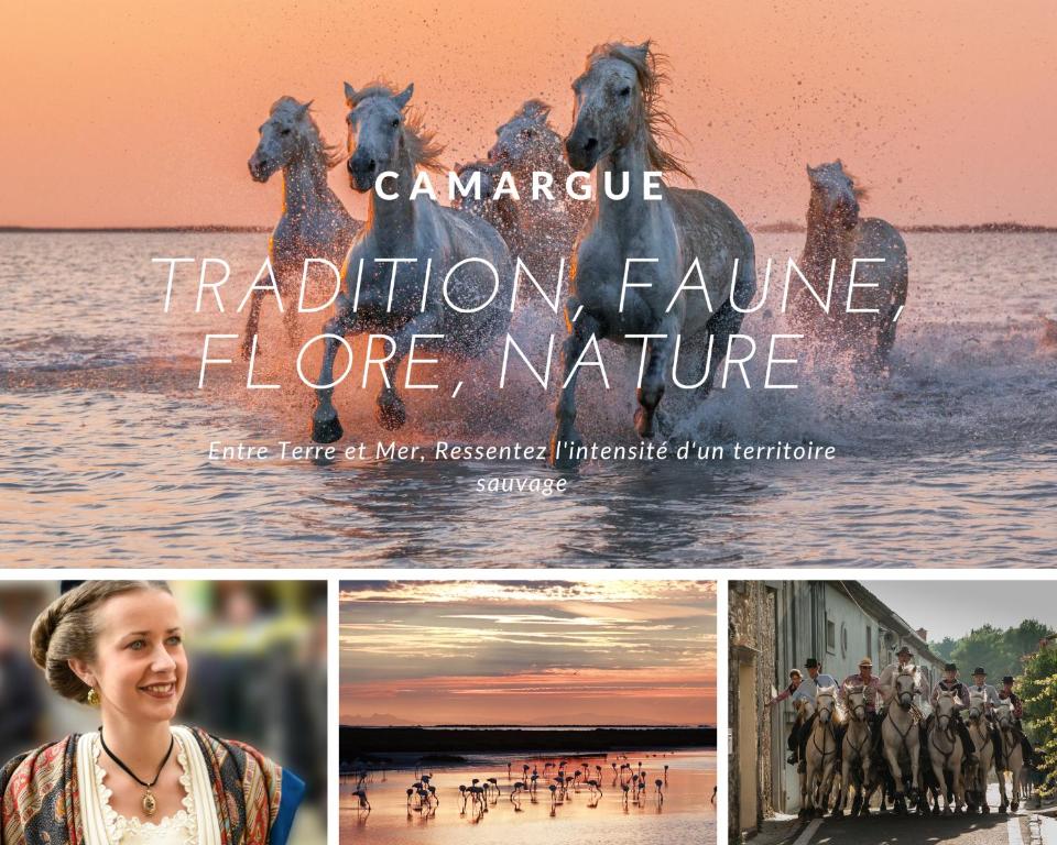 Fotografia z galérie ubytovania La Perle Marine * Plage à 15 min * Parking privé * literie confortable v destinácii La Grande-Motte