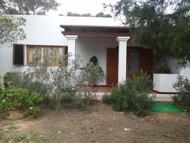 une maison blanche avec beaucoup de plantes devant elle dans l'établissement Casa los Cactus, à Playa Migjorn