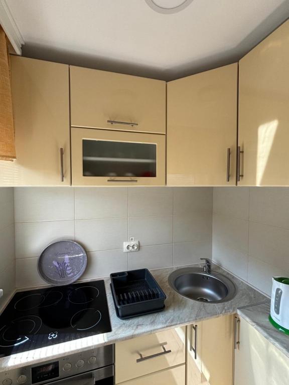 Kuchyň nebo kuchyňský kout v ubytování Apartmani "MARIJA" Golubac