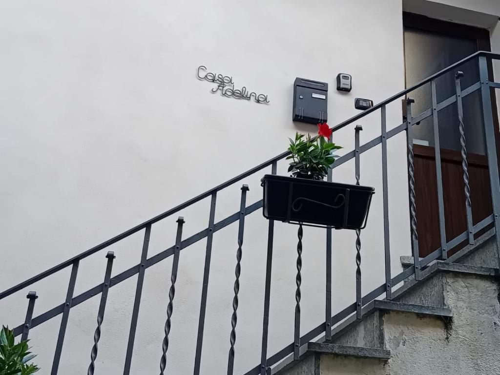 a plant in a pot on the railing of a staircase at Casa Adelina - Appartamento Pallanza centro in Verbania