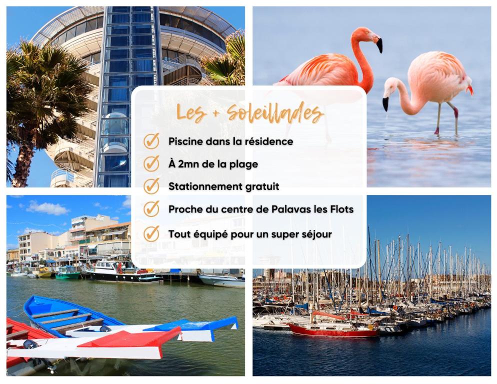 Les Soleillades - Plage, piscine, parking! - Estudio Familiar
