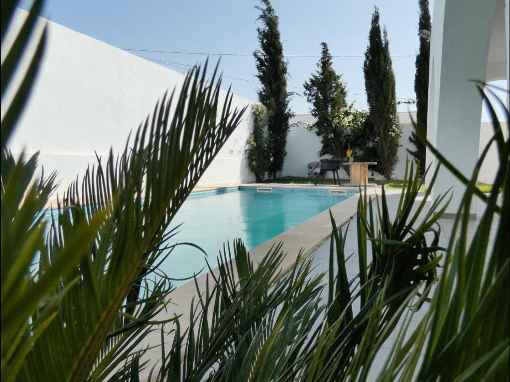 een zwembad met planten op de voorgrond bij Maison LIANE familiale au calme in Hammamet