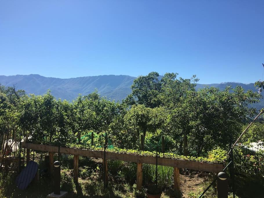 un jardin avec des arbres et une clôture en bois dans l'établissement Chalet, à Tasso