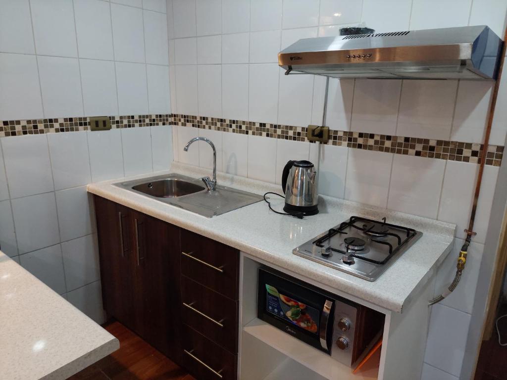 Cabañas Ases Loft Valdivia SIN ESTACIONAMIENTO - 两居室公寓