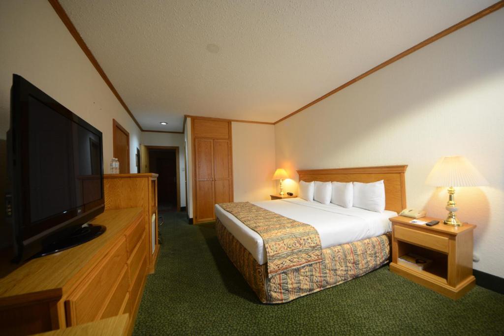 Postel nebo postele na pokoji v ubytování Hotel Sicomoro